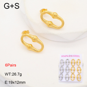 2E2006388vhov-436  Stainless Steel Earrings