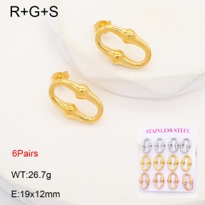 2E2006389aivb-436  Stainless Steel Earrings