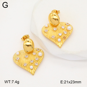2E3003745bhia-669  Stainless Steel Earrings