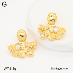 2E3003746bhia-669  Stainless Steel Earrings