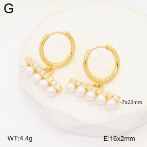 2E3003747vhha-669  Stainless Steel Earrings