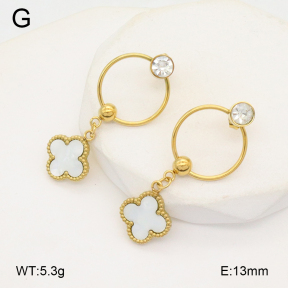 2E3003750bbml-480  Stainless Steel Earrings