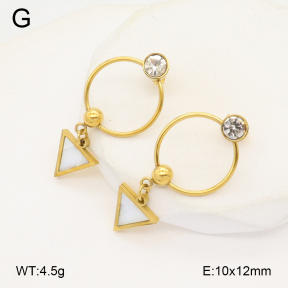 2E3003751bbml-480  Stainless Steel Earrings
