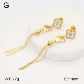 2E3003753bbml-480  Stainless Steel Earrings