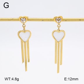 2E3003754bbml-480  Stainless Steel Earrings