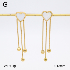 2E3003756bbml-480  Stainless Steel Earrings