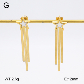 2E3003757bbml-480  Stainless Steel Earrings