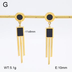 2E4004569bbml-480  Stainless Steel Earrings