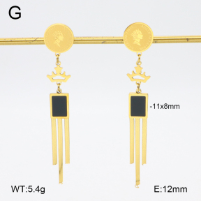 2E4004570bbml-480  Stainless Steel Earrings