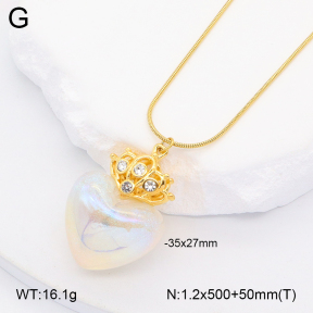 2N3002966bhia-669  Stainless Steel Necklace