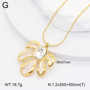 2N4004847vhhl-669  Stainless Steel Necklace