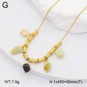 2N4004849bhil-669  Stainless Steel Necklace