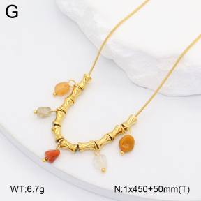 2N4004850bhil-669  Stainless Steel Necklace