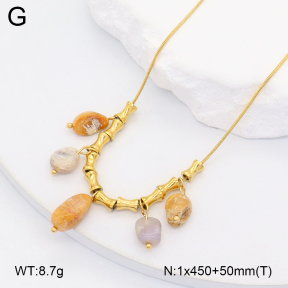 2N4004851bhil-669  Stainless Steel Necklace