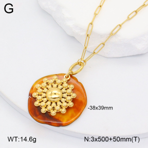 2N4004853vhhl-669  Stainless Steel Necklace