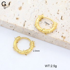 2E2006390vhha-226  Stainless Steel Earrings