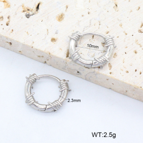 2E2006391vbpb-226  Stainless Steel Earrings