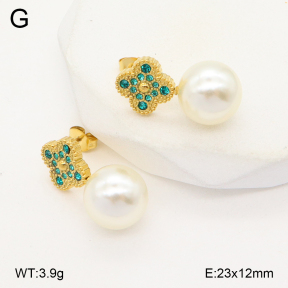 2E3003759bbml-743  Stainless Steel Earrings