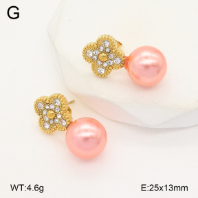 2E3003760bbml-743  Stainless Steel Earrings