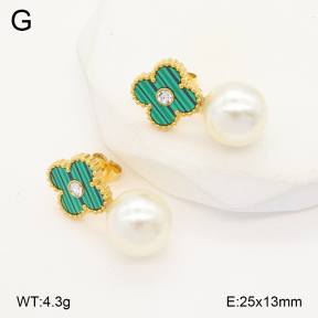 2E3003761vbll-743  Stainless Steel Earrings