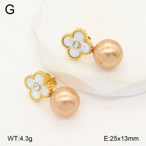 2E3003762vbll-743  Stainless Steel Earrings