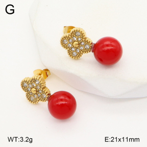 2E4004571bbml-743  Stainless Steel Earrings