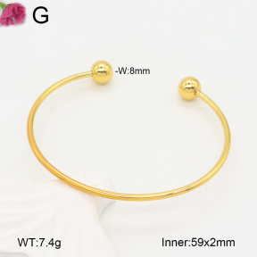 F2BA20172vail-J189  Fashion Bangle