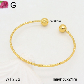 F2BA20173vail-J189  Fashion Bangle