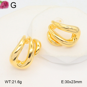 F2E202009vhov-K69  Fashion Earrings