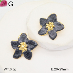 F2E300975aajl-J133  Fashion Earrings