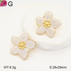 F2E300977aajl-J133  Fashion Earrings
