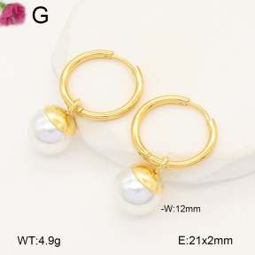 F2E300996avja-J189  Fashion Earrings