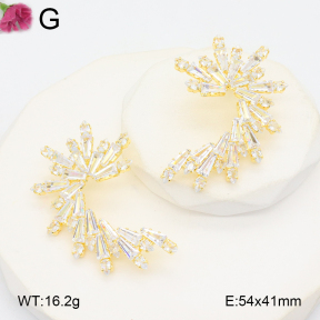 F2E402100aija-K69  Fashion Earrings