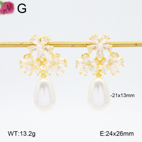 F2E402104aija-K69  Fashion Earrings