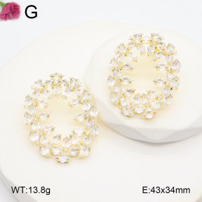 F2E402106aija-K69  Fashion Earrings
