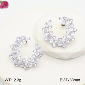 F2E402107aivb-K69  Fashion Earrings