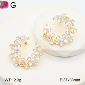F2E402108aivb-K69  Fashion Earrings