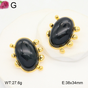 F2E402111aivb-K69  Fashion Earrings