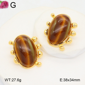 F2E402113aivb-K69  Fashion Earrings