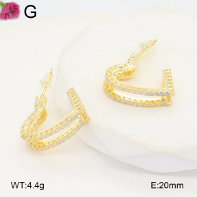 F2E402114bhia-K69  Fashion Earrings