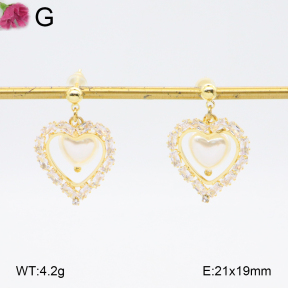 F2E402115bhia-K69  Fashion Earrings