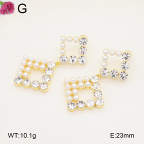 F2E402116bhia-K69  Fashion Earrings