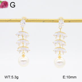 F2E402117bhia-K69  Fashion Earrings
