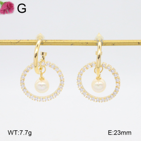 F2E402118ahjb-K69  Fashion Earrings