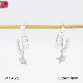 F2E402122vhha-K69  Fashion Earrings