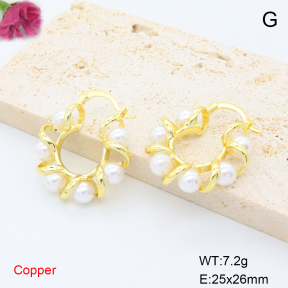 F6E302108vbmb-L017  Fashion Copper Earrings