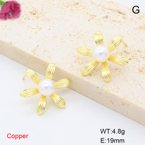 F6E302109ablb-L017  Fashion Copper Earrings