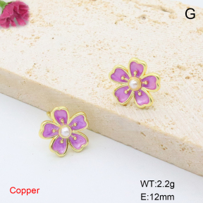 F6E302112ablb-L017  Fashion Copper Earrings