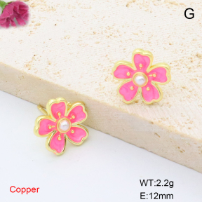 F6E302113ablb-L017  Fashion Copper Earrings