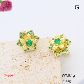 F6E405752bbov-L017  Fashion Copper Earrings